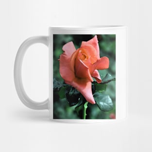 Orange Rose Bud Mug